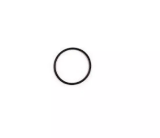 O-ring til FEC80500 JR60 GR3 - Bestillingsvare